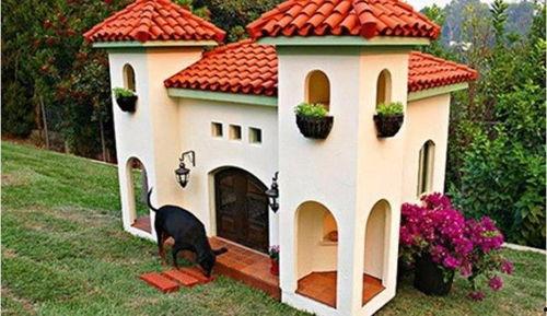 大学与狗窝在线观看,一场别开生面的在线观看之旅 第3张 大学与狗窝在线观看,一场别开生面的在线观看之旅 第3张