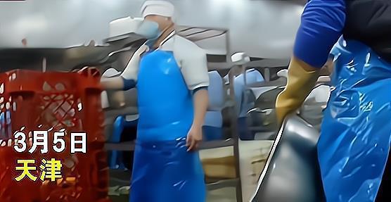 天津小学生配餐爆料视频,揭露校园食品安全疑云 第2张 天津小学生配餐爆料视频,揭露校园食品安全疑云 第2张